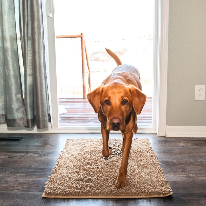 Premium - PawClean™ Mat