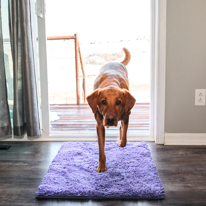 Premium - PawClean™ Mat