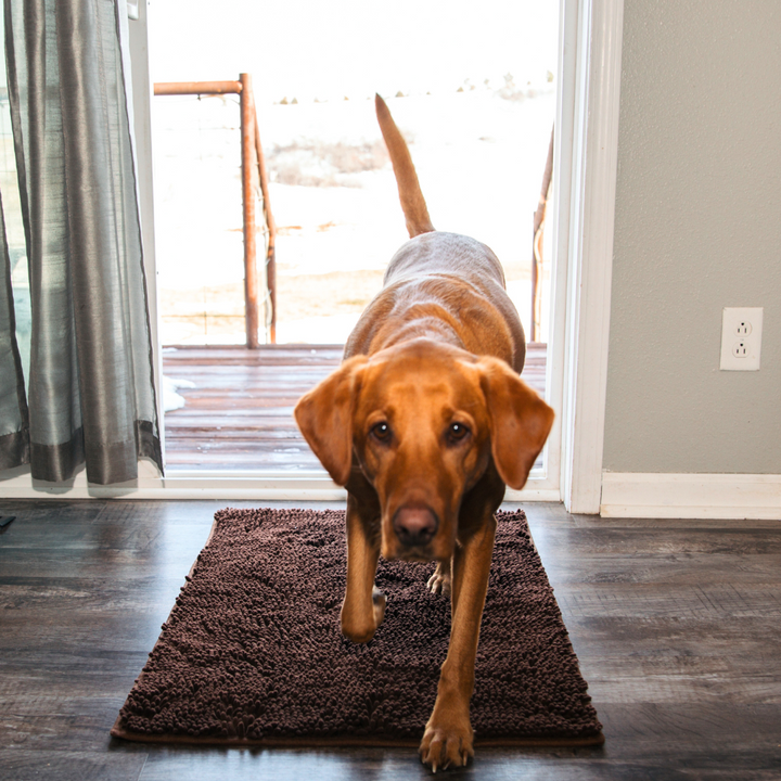 Premium - PawClean™ Mat
