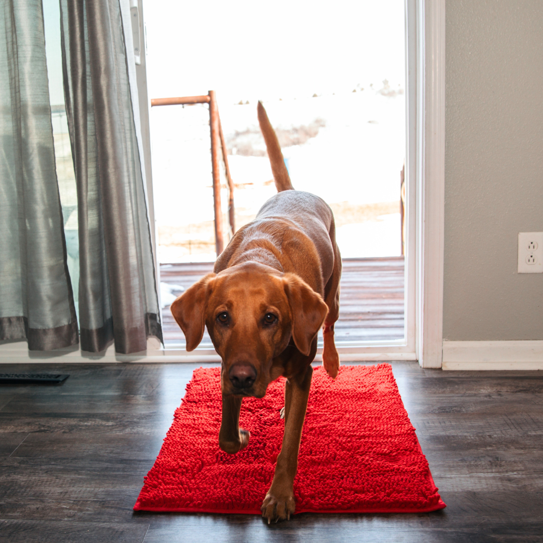 Premium - PawClean™ Mat