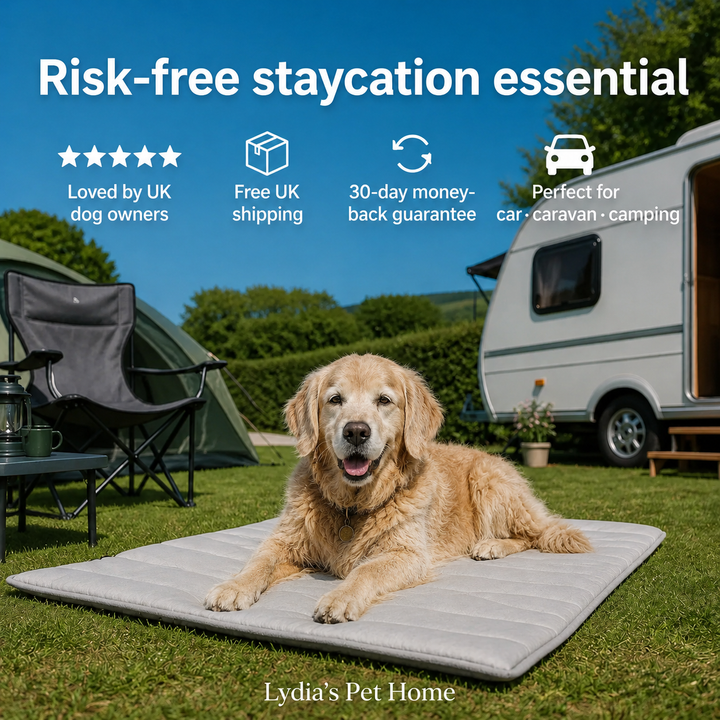 Pet Cooling Pad for Dogs — Senior Comfort