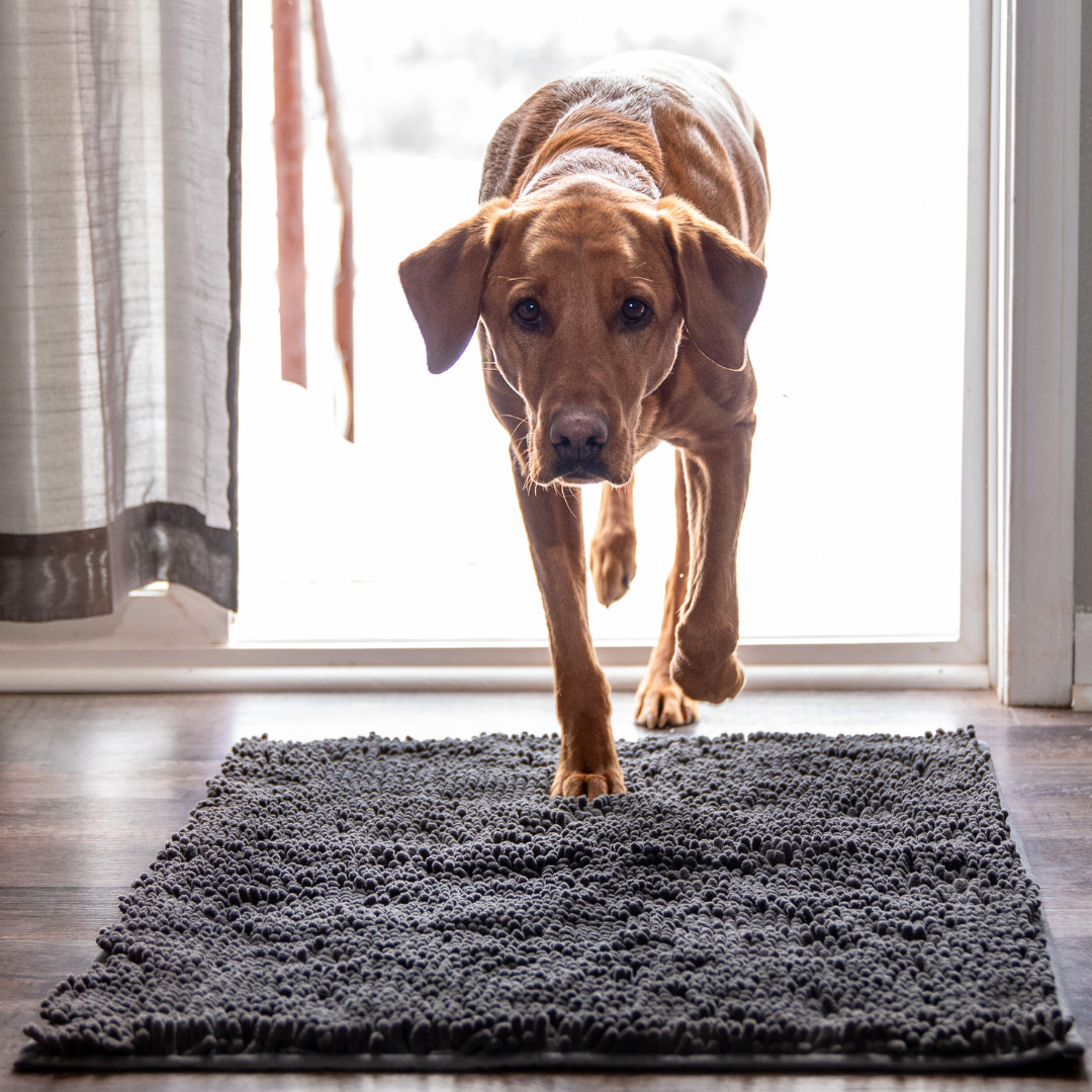 Premium - PawClean™ Mat