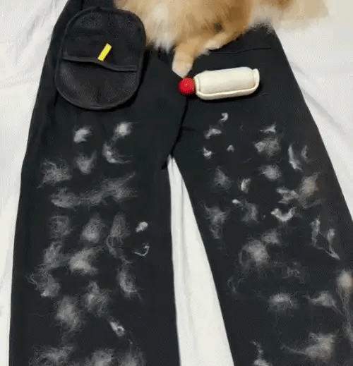 PawSwipe™ DeShed Glove