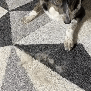 PawSwipe™ DeShed Glove