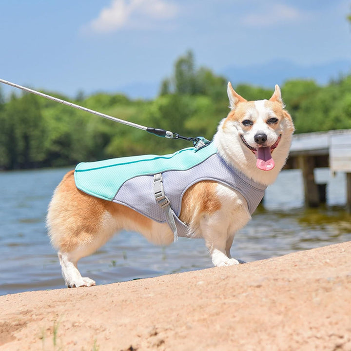 Cooling Vest - Instant Cooling