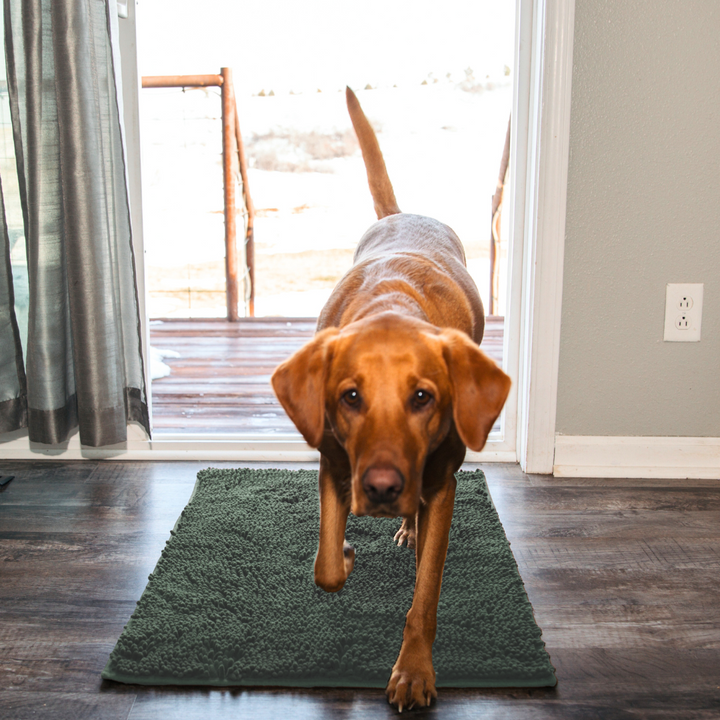 Premium - PawClean™ Mat
