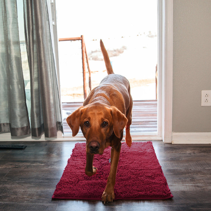 Premium - PawClean™ Mat