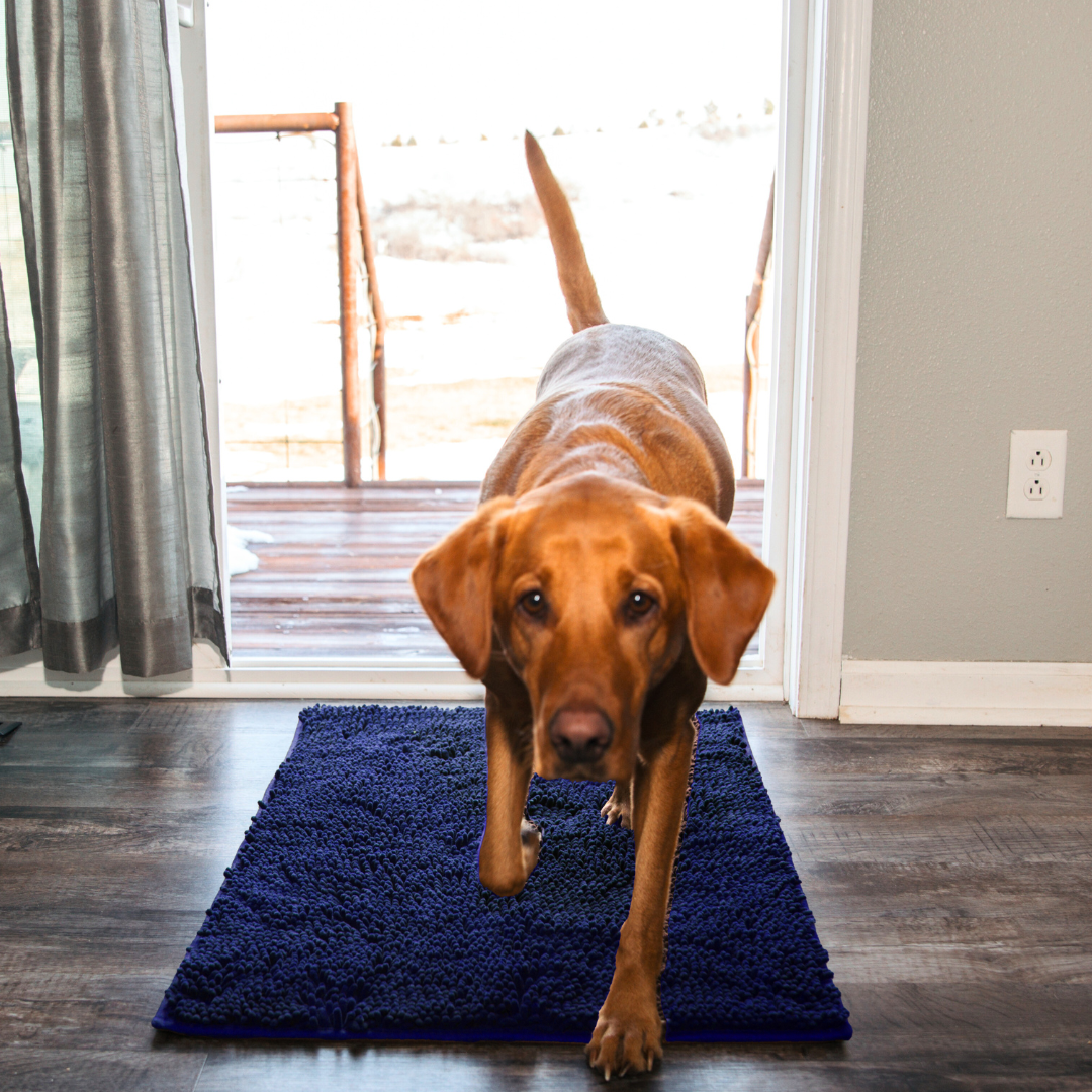 Premium - PawClean™ Mat