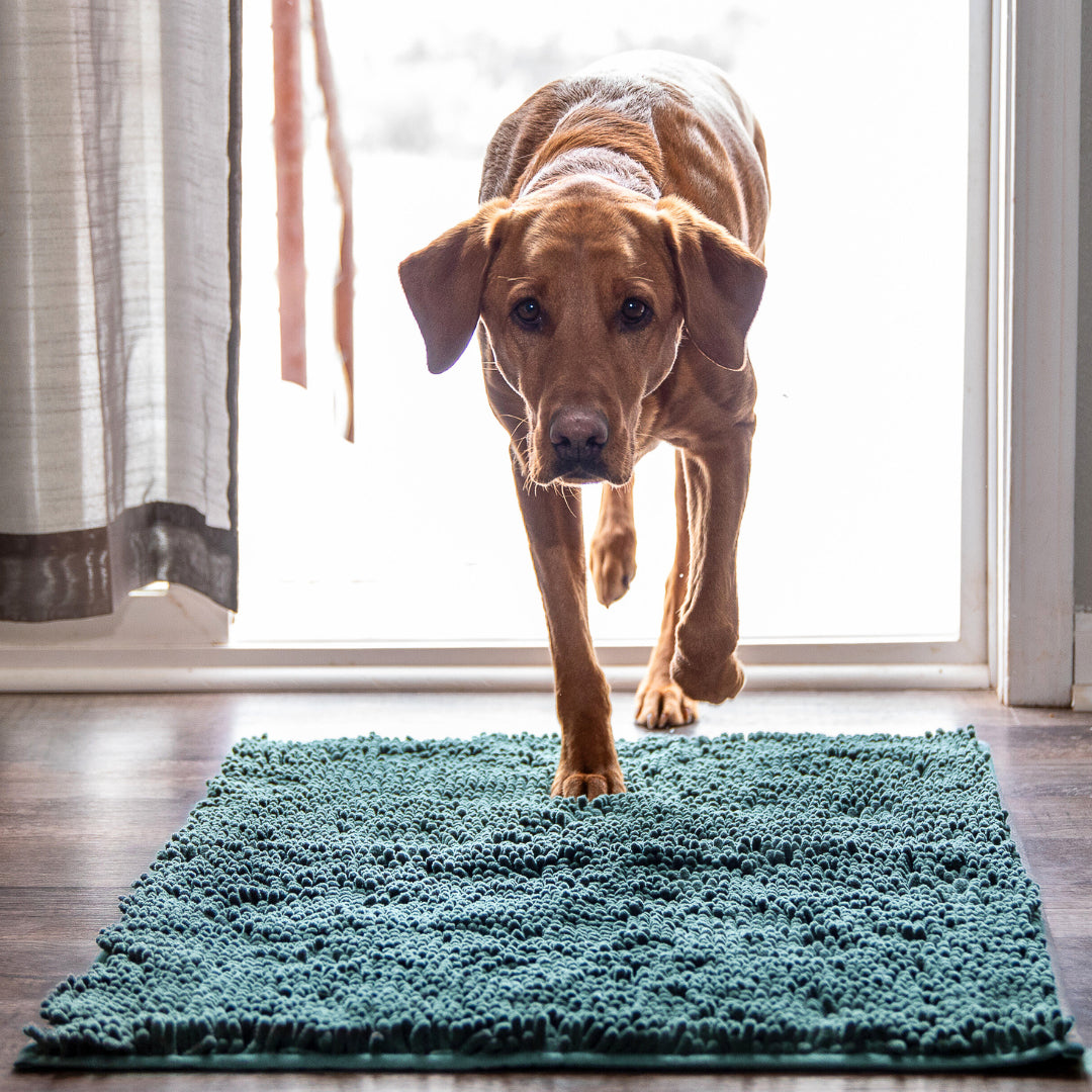 Premium - PawClean™ Mat