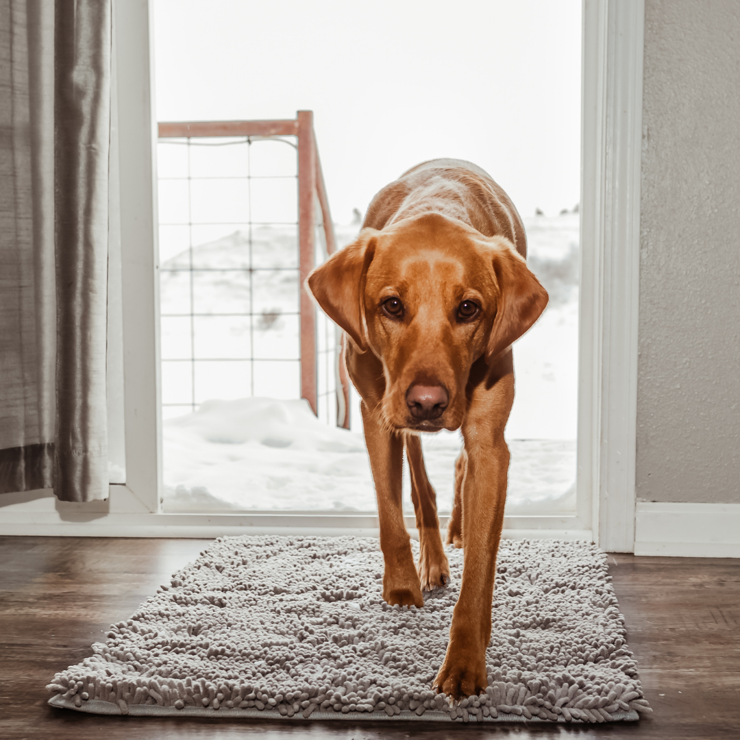 Premium - PawClean™ Mat