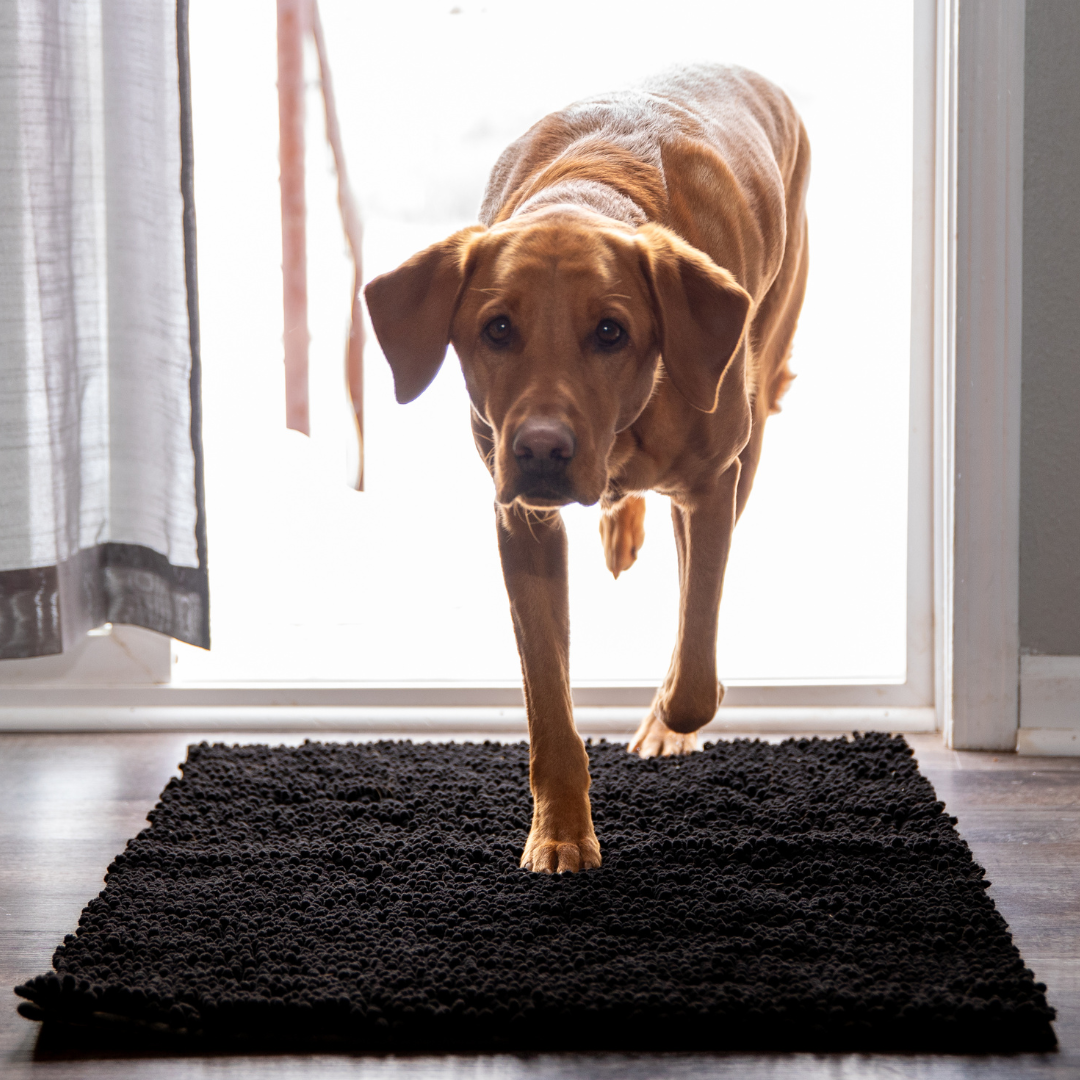 Premium - PawClean™ Mat