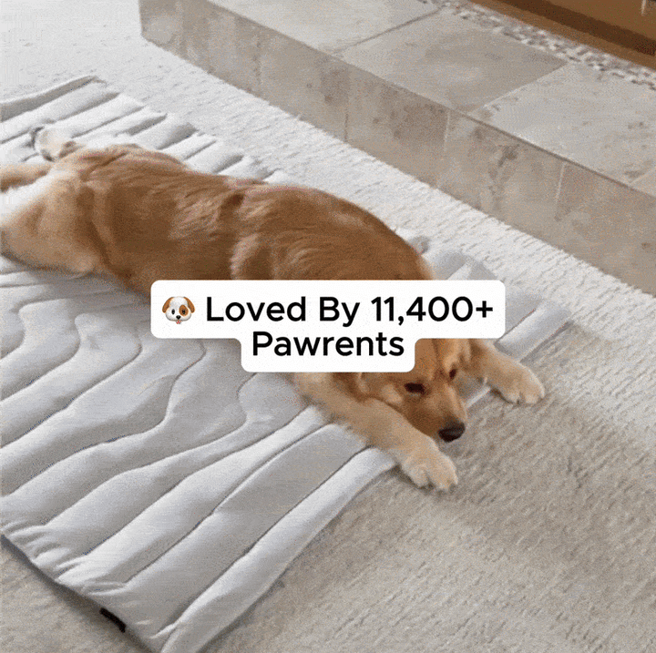 Pet Cooling Pad for Dogs - Instant Cooling
