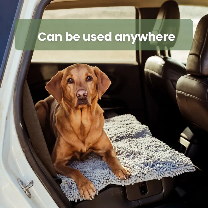 Premium - PawClean™ Mat
