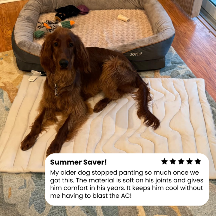 Pet Cooling Pad for Dogs - Instant Cooling
