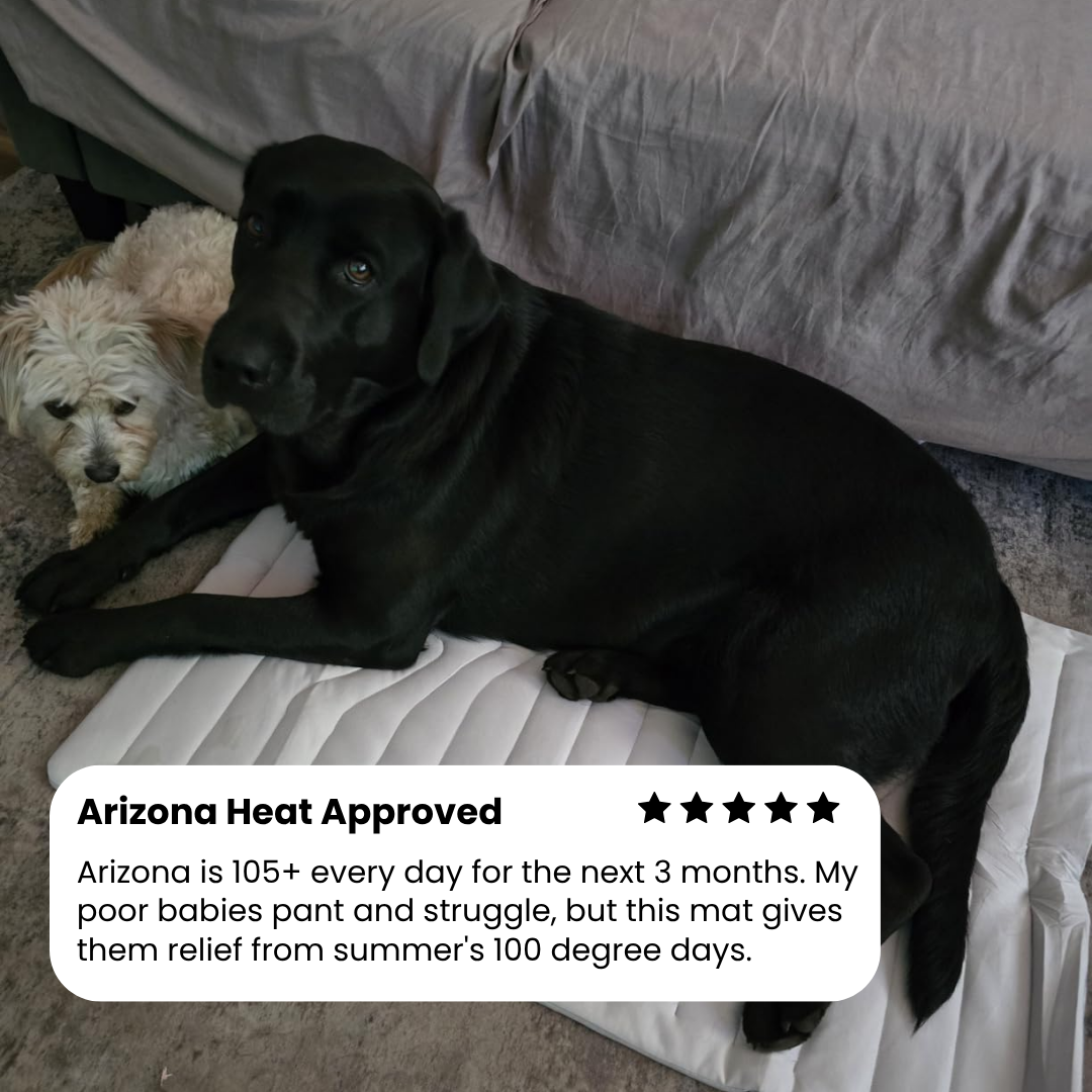 Pet Cooling Pad for Dogs - Instant Cooling